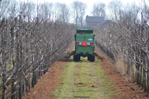 Champost strooien