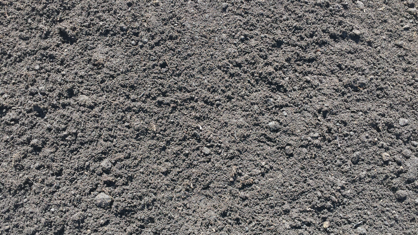tuinturf
